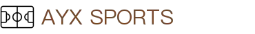 爱游戏体育 (中国)官方网站_AYX SPORTS