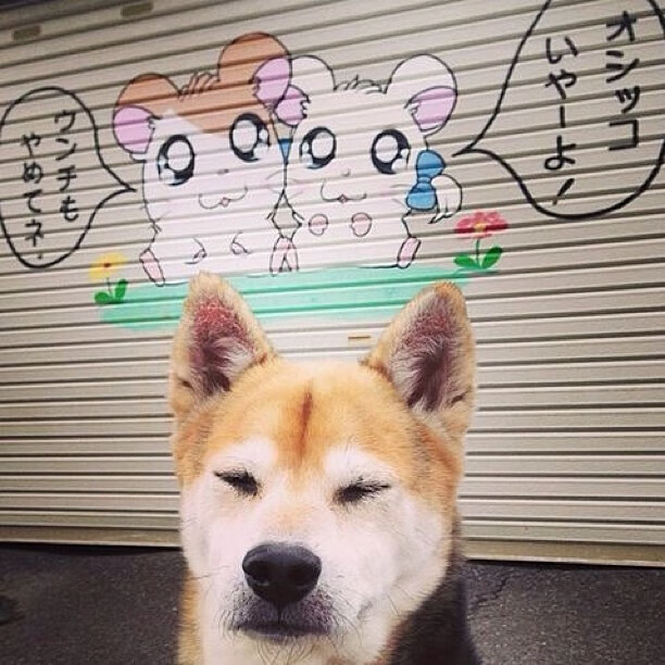 体育新闻中心上线智能体育内容推荐与审查系统，智能 体育