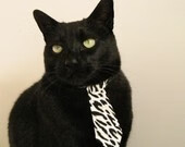 国际热身赛中国青年队迎战 球迷充满期待，国际足球热身赛