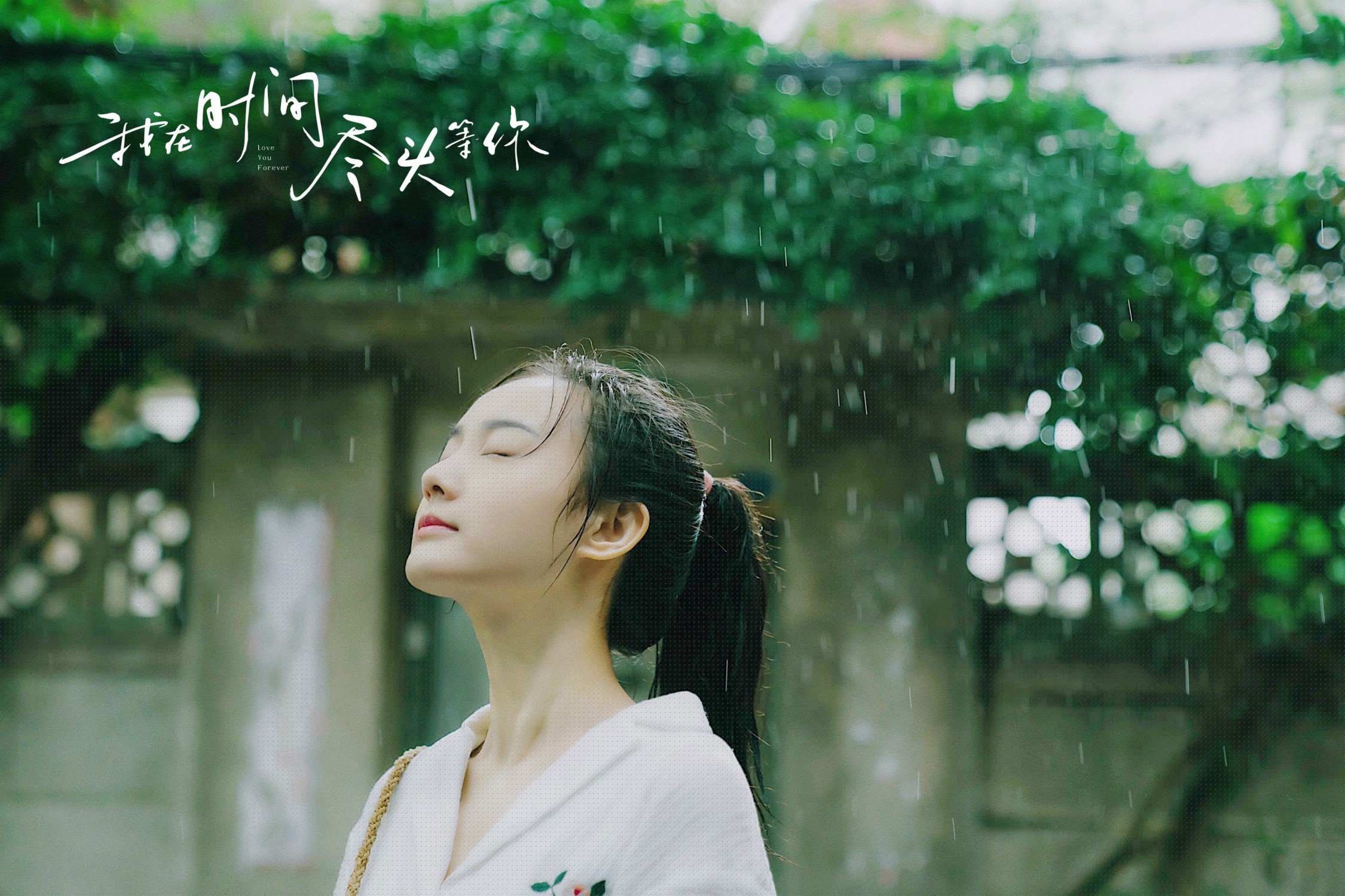 王者荣耀战术视频教程热度高玩家受益匪浅，王者荣耀战术交流怎么设置